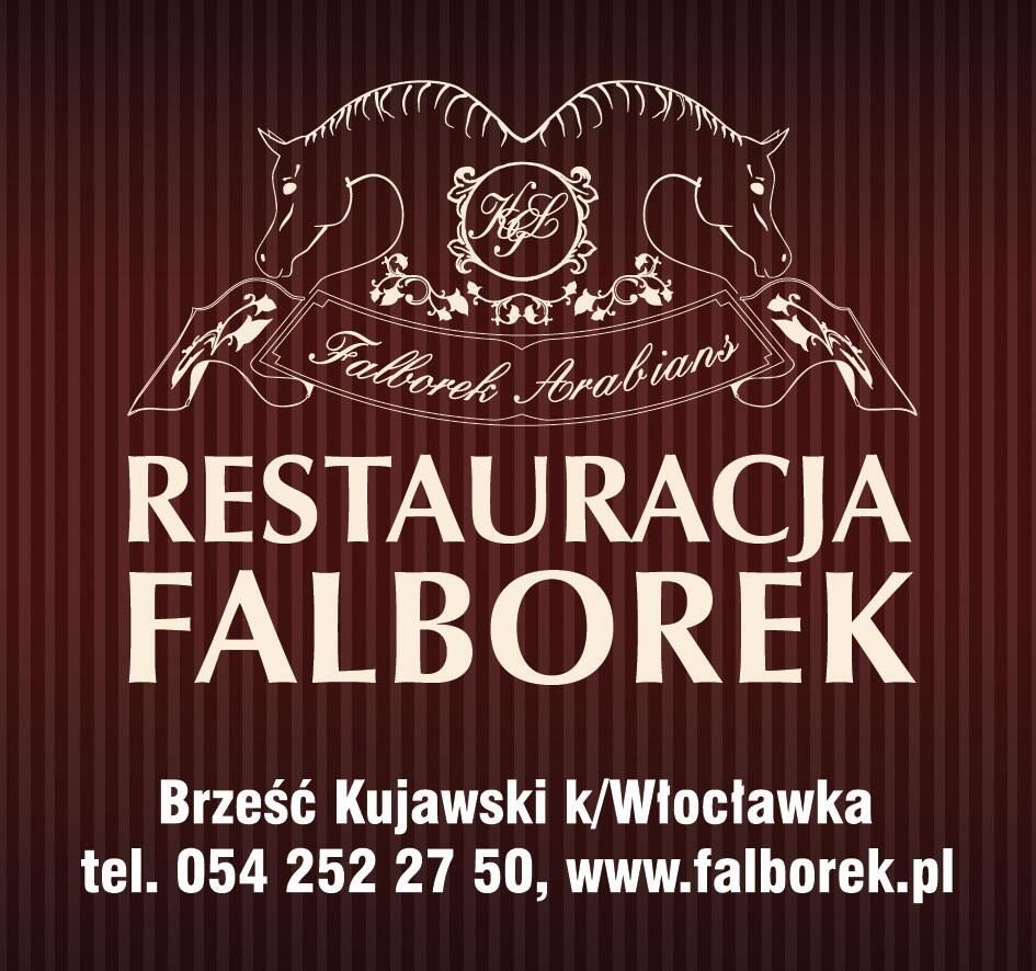 Отели типа «постель и завтрак» Falborek Noclegi Brześć Kujawski-15